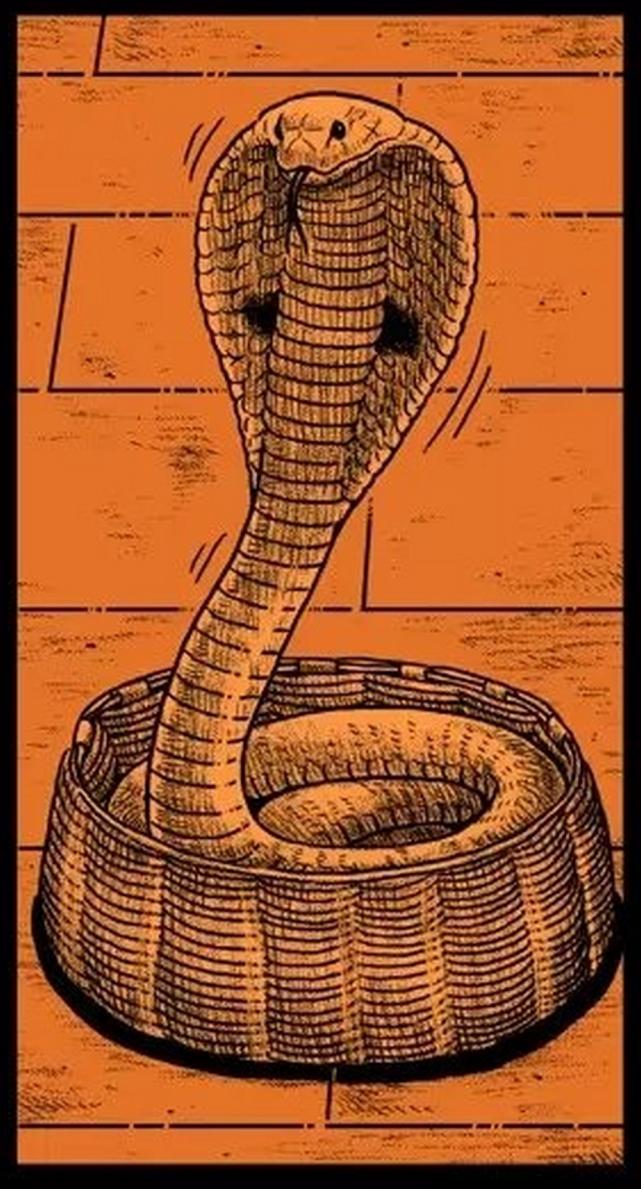 眼镜王蛇毒液有用吗,眼镜王蛇的毒液有多毒