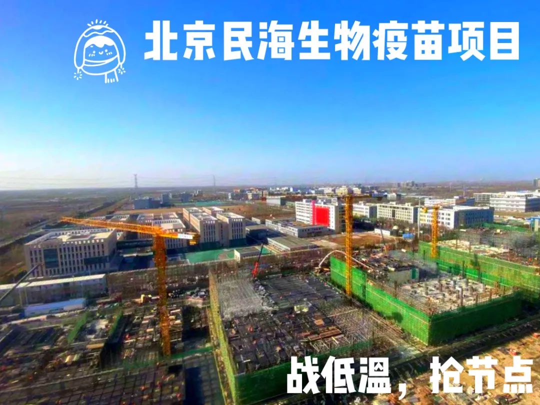争分夺秒，使命必达！北京民海生物疫苗项目加速冲刺！