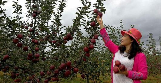 一亩园顶十亩田的顺口溜,人常说1亩三分地是什么意思
