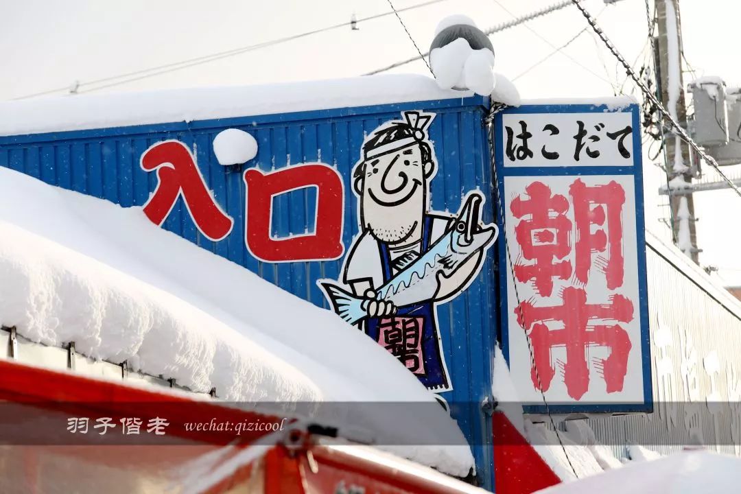 不会日语日本自由行好吗,不会日语的北海道自由行攻略