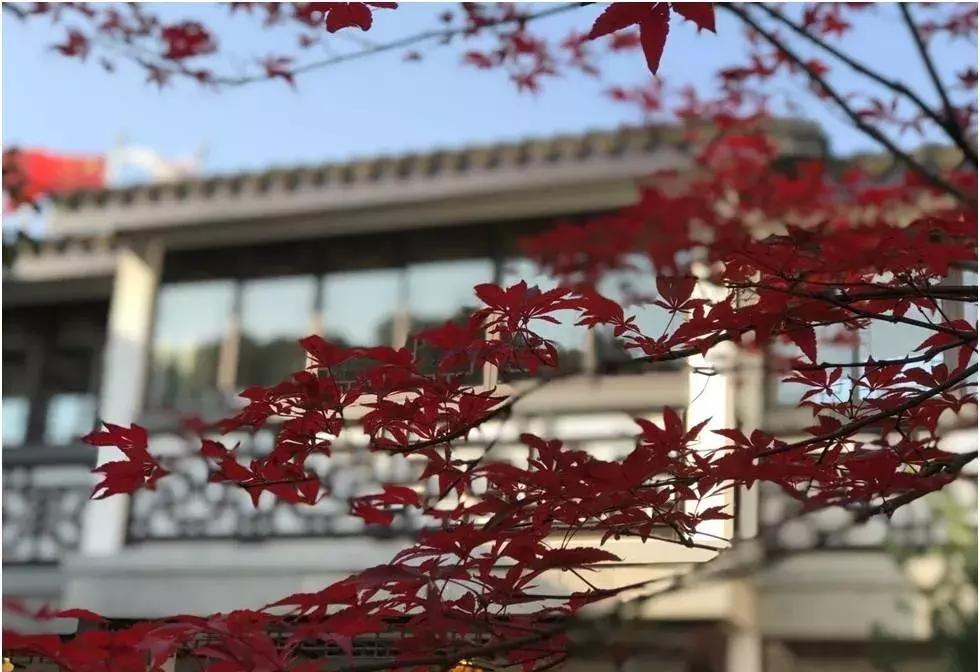 景范新生报名,景范小学开学