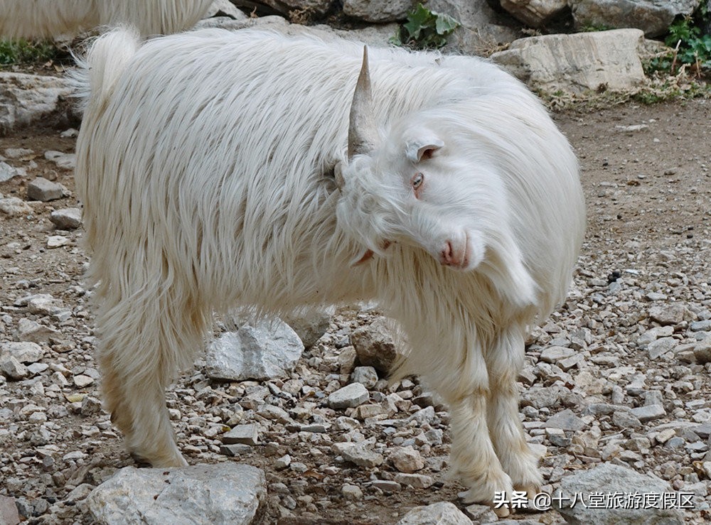 张家口有什么峡谷,张家口有什么大峡谷
