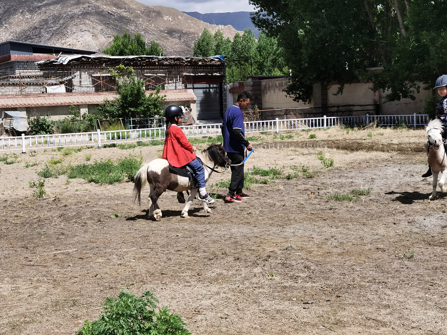 民族传统体育进景区,民族体育活动项目