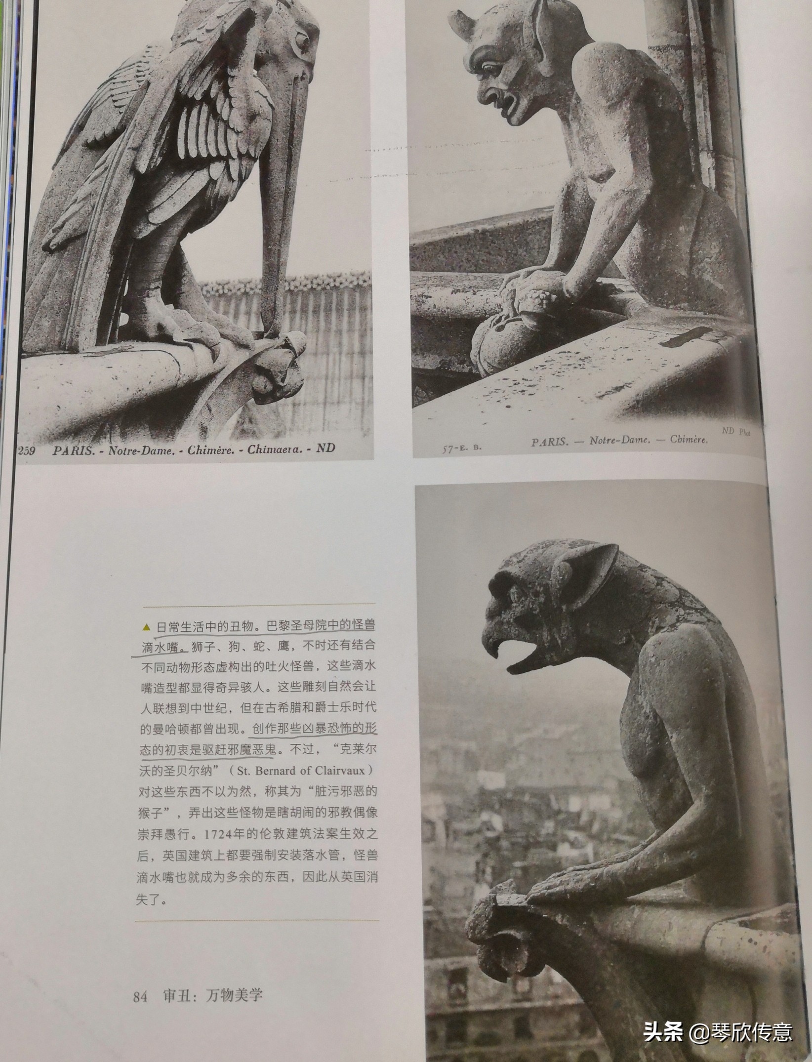 涓戜笉灞炰簬瀹＄編鑼冪暣鏄惁姝ｇ‘,涓戜笉灞炰簬瀹＄編鑼冪暣瀵硅繕鏄敊