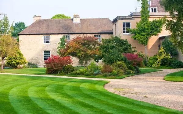 花园草坪如何打理,花园草地打理