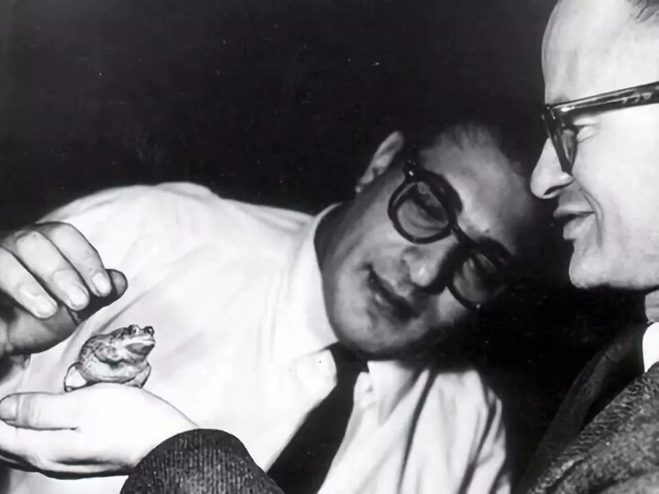 寒门子弟逆袭MIT，刚刚走红就被导师遗弃，生无可恋烧毁绝世论文