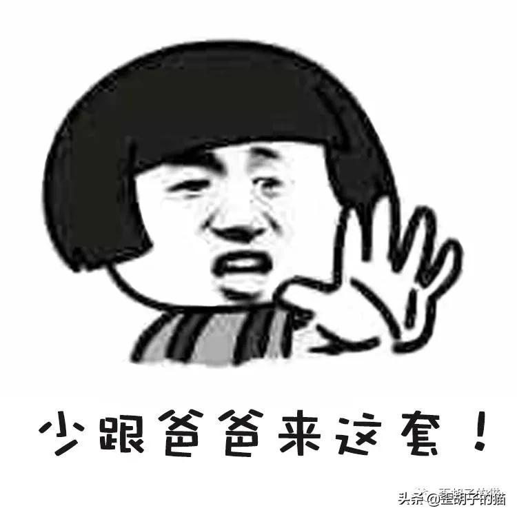 猫咪体外驱虫药哪个牌子好,驱虫最全的猫咪外驱