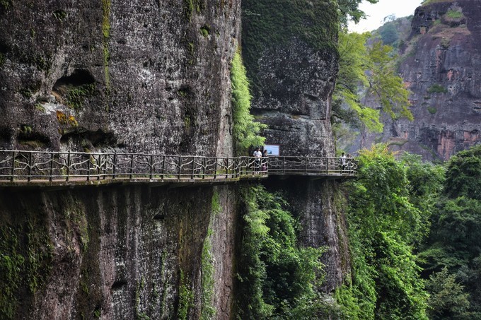 梅州采茶,梅州采茶体验