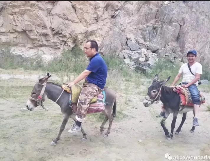 矿山风云评书大全,矿山风云录第一部