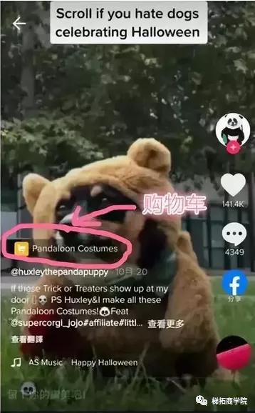 TikTok与Shopify合作的TikTokShopping小黄车功能怎么开通？