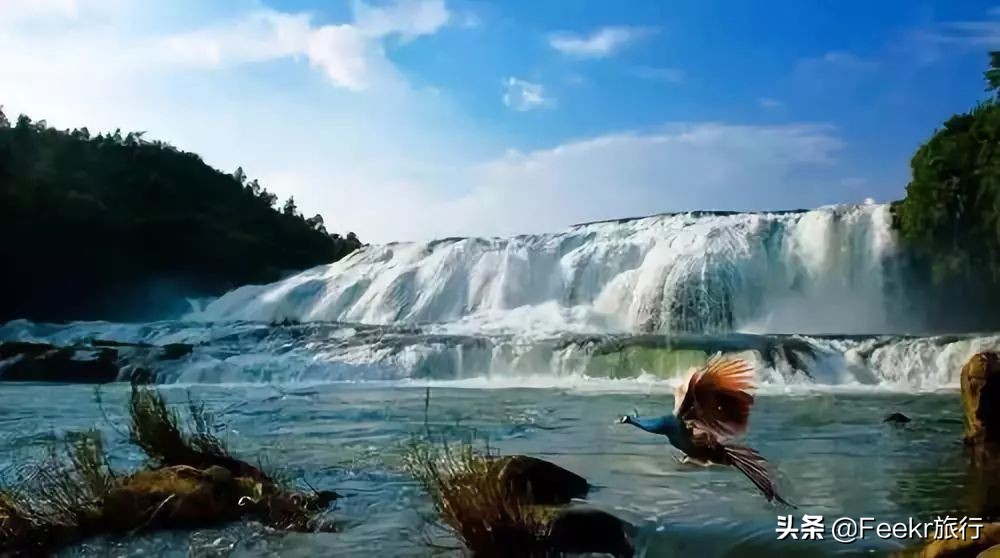 全球最大樱花基地原来就藏在贵州！万亩花海通到湖，机票低至2折