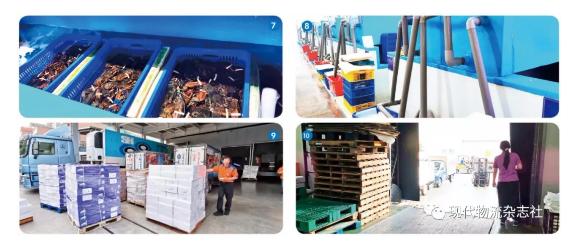 卖鱼从零开始自动仓库发挥最大效益—名升海产高雄物流中心