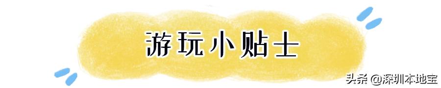 深圳最美海岛旅游攻略,深圳周边海岛旅行推荐