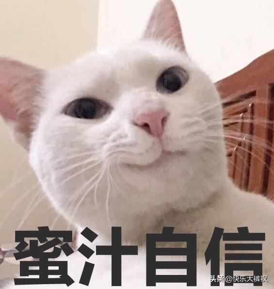 误删微信聊天记录转账怎么恢复,误删微信app后聊天记录如何恢复