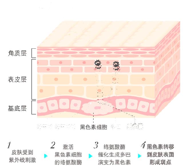 日本这个赛过美白针的王牌内服，让贵妇POLA、SK-II靠边站！