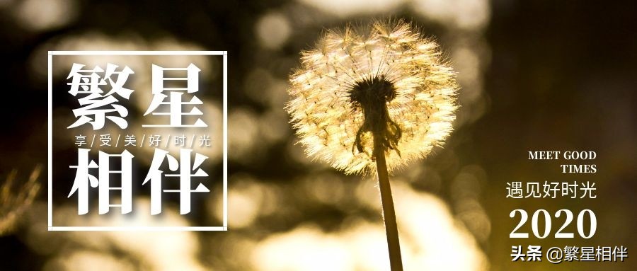 男人最想让女人动心的三个方式,男人懂得甜言蜜语讨女人欢心