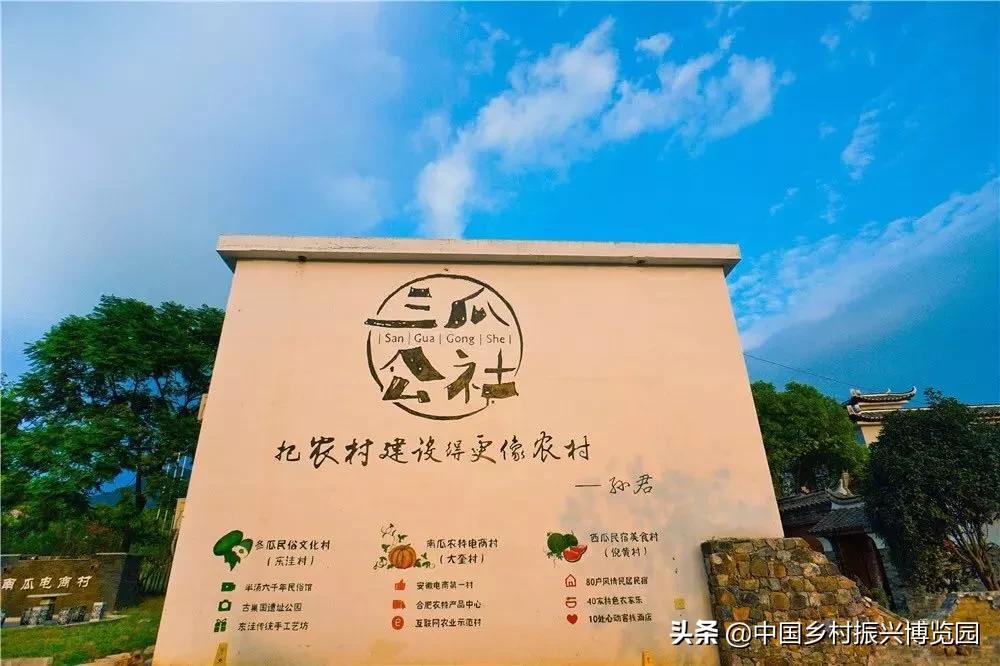 乡村振兴典型项目,乡村产业振兴十大标杆模式