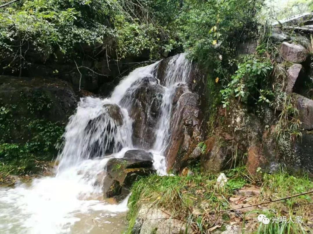 平阳鳌江镇古村落,鳌江市古村视频
