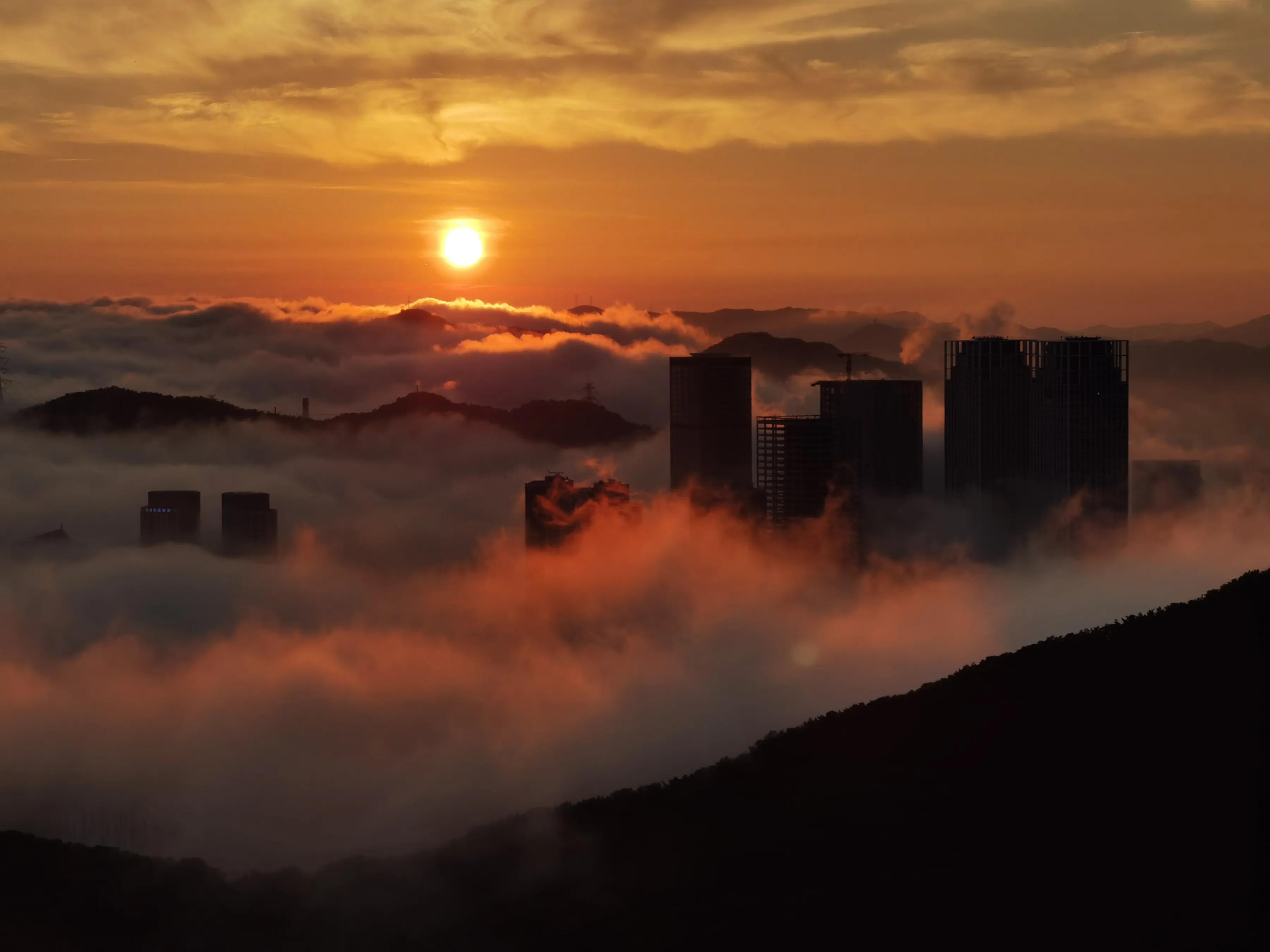 手机摄影手册圈友作品选第5期,手拍世界摄影交流平台