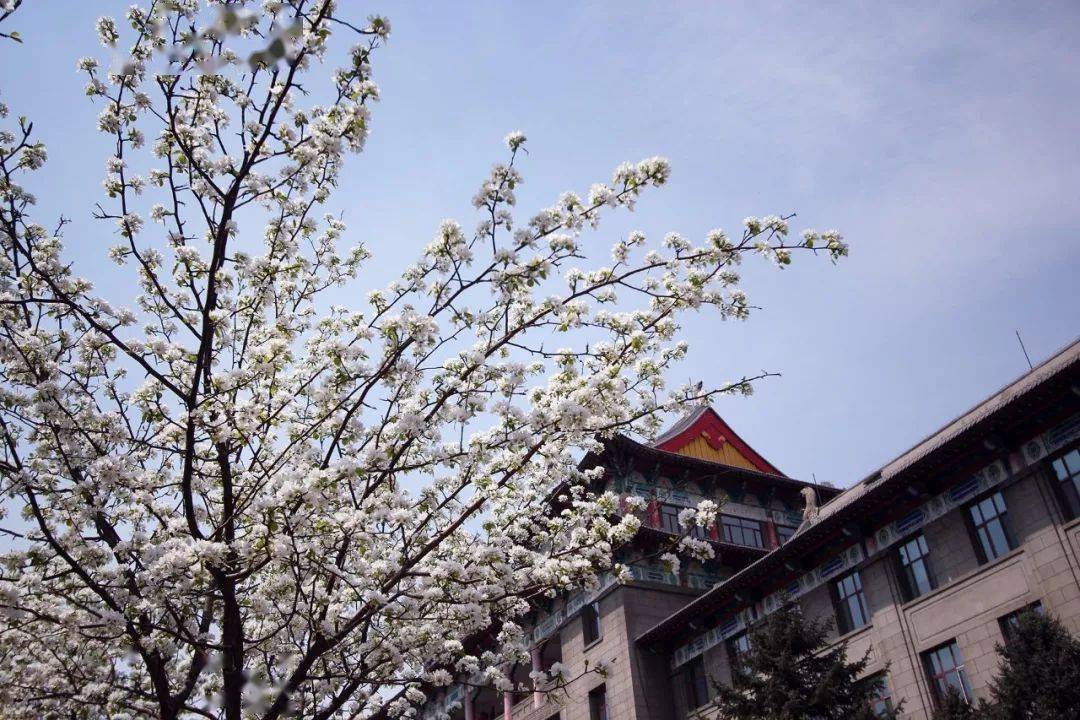 搞笑大学学校名称,哈尔滨各高校特点搞笑版