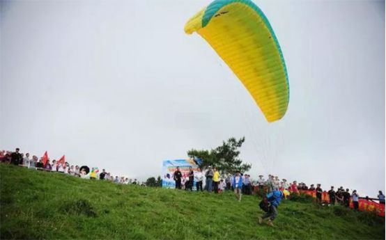 2020重庆马拉松比赛现场直播,重庆千野草场音乐节