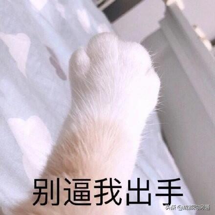 二环地铁上盖新盘,二环边现房地铁口西安