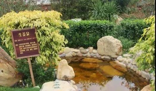 博罗响水怡情谷温泉酒店有五房,博罗怡情谷温泉度假村值得去吗