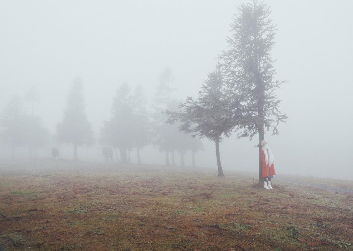 那些年我们追过的小说有哪些,那些年我们追过的网文作者
