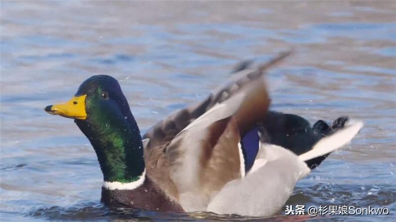 游戏午报：黑曜石将于TGA公布新游戏；《战争机器》电影换新编剧