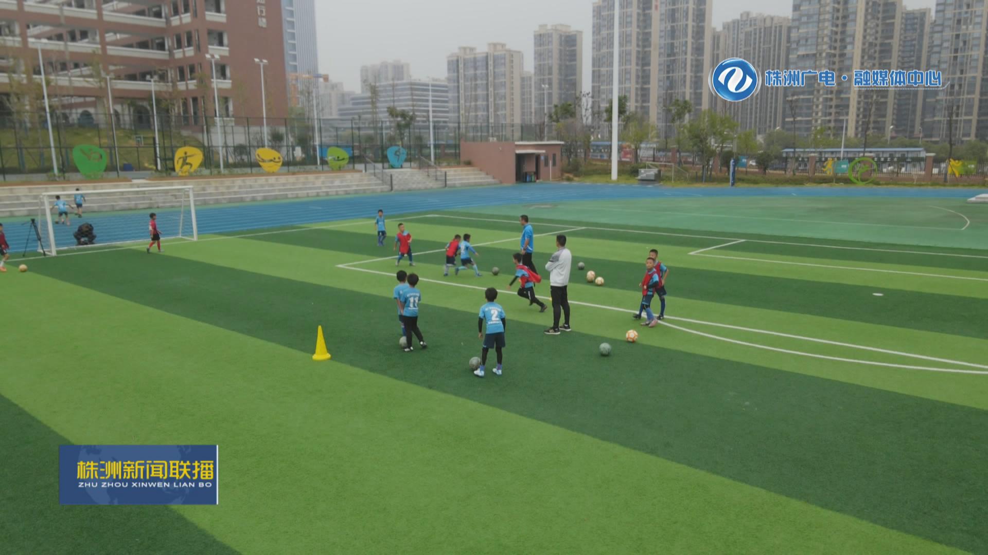 株洲市有哪些院校,株洲体育特色学校排名