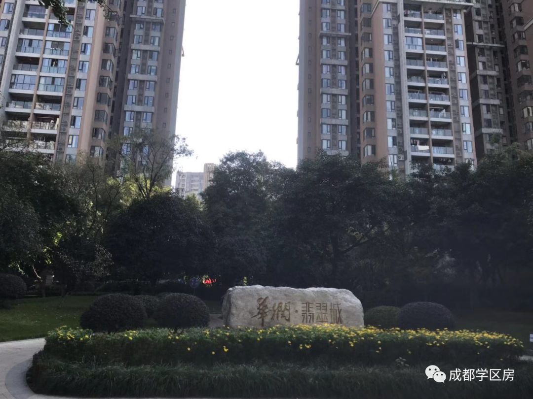 成师附小分校有哪些,成师附小哪个分校最好