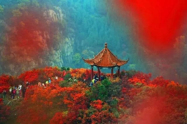 济南旅游景点推荐带孩子玩,济南旅游景点推荐适合带孩子