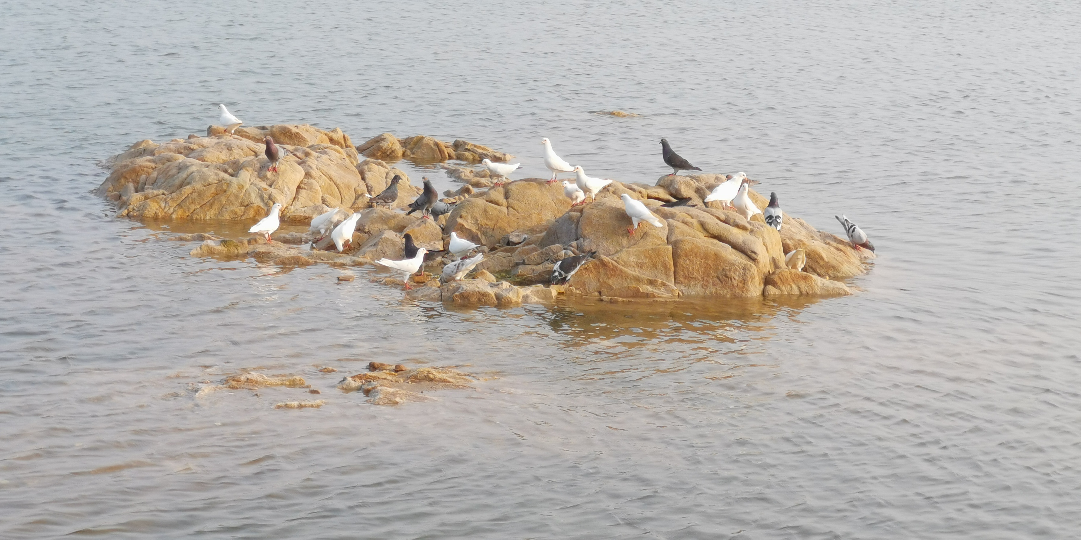 800万像素和1600万拍的视频,800万像素与1200万像素效果区别