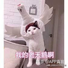 维a酸药膏治疗痘痘效果,中成药维a酸类口服药有哪些