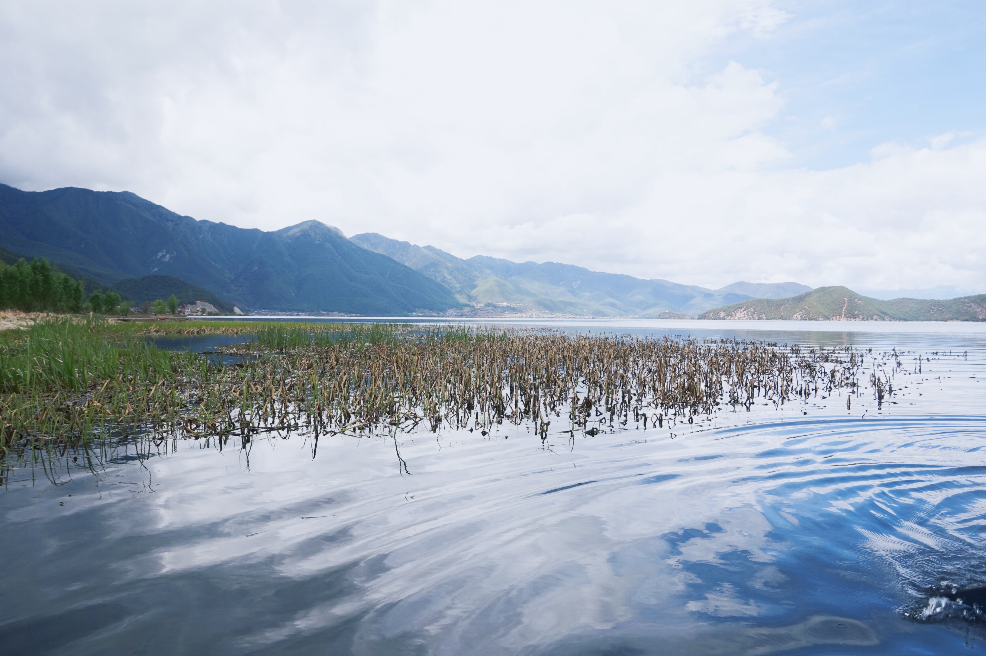 泸沽湖摩梭人美食,泸沽湖母亲的湖