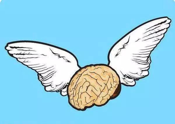 最强大脑的记忆法叫什么,最强记忆大脑记忆方法