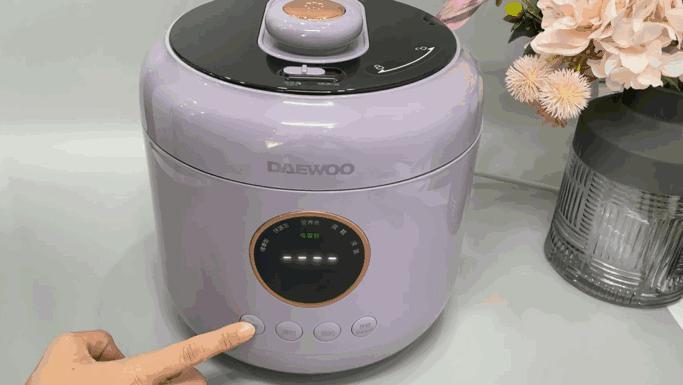 大宇电压力锅焖饭使用过程 (大宇电炖锅焖饭)