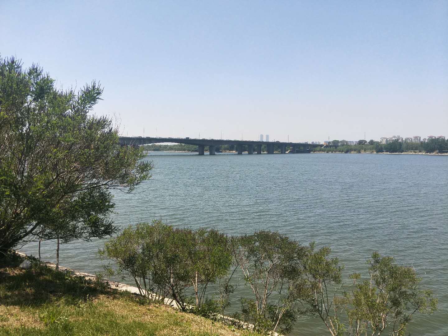 金地艺境一期洋房,金地南湖艺境一期测评