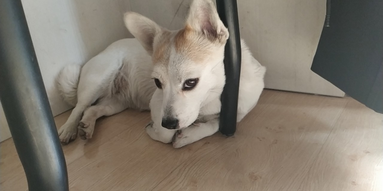 自己动手换锁芯,自己动手换防盗门十字门锁锁芯