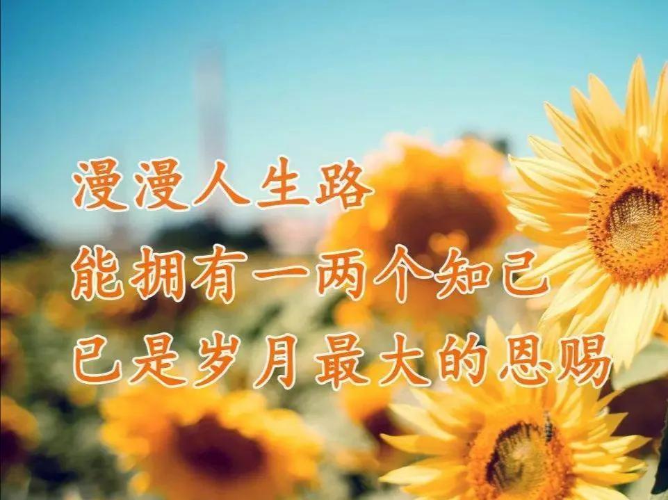 朋友认识你真好经典语录,朋友认识你真好诗歌朗诵