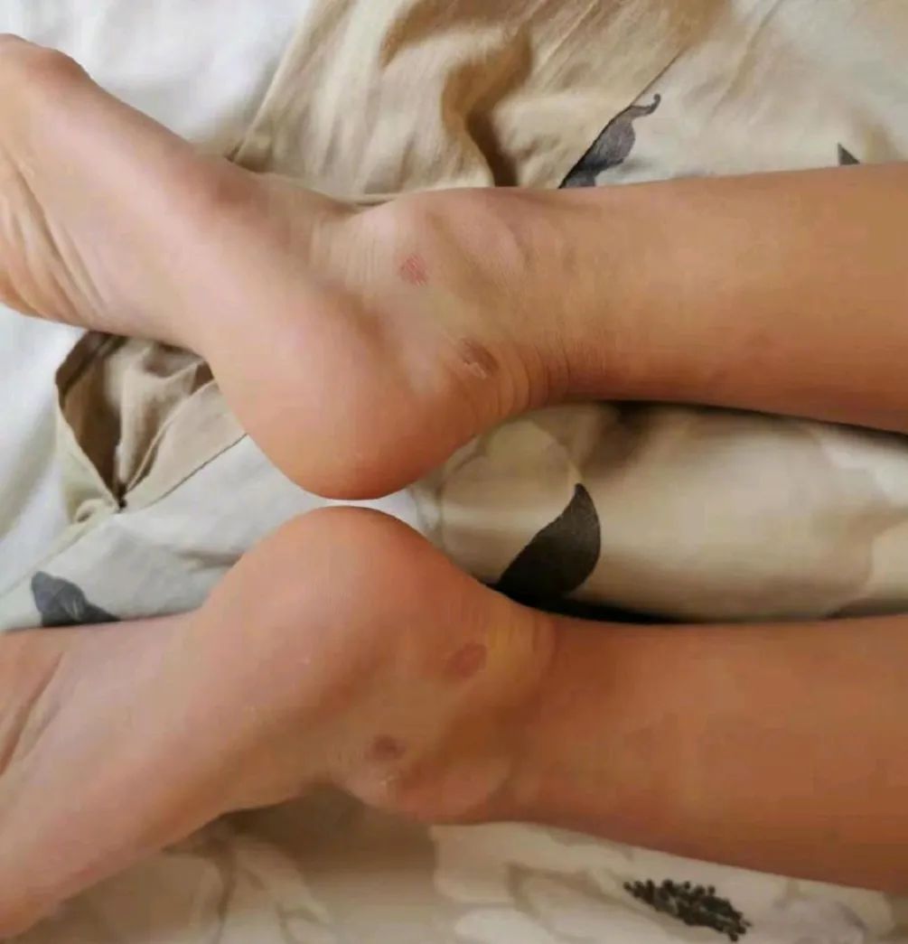 7岁女童案板下学习一个月走红,湖北7岁女孩躲菜市场案板下上课