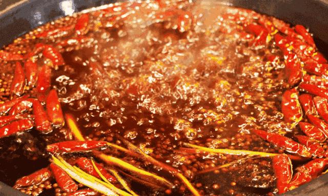 通哥带你吃川菜,通哥美食最新视频