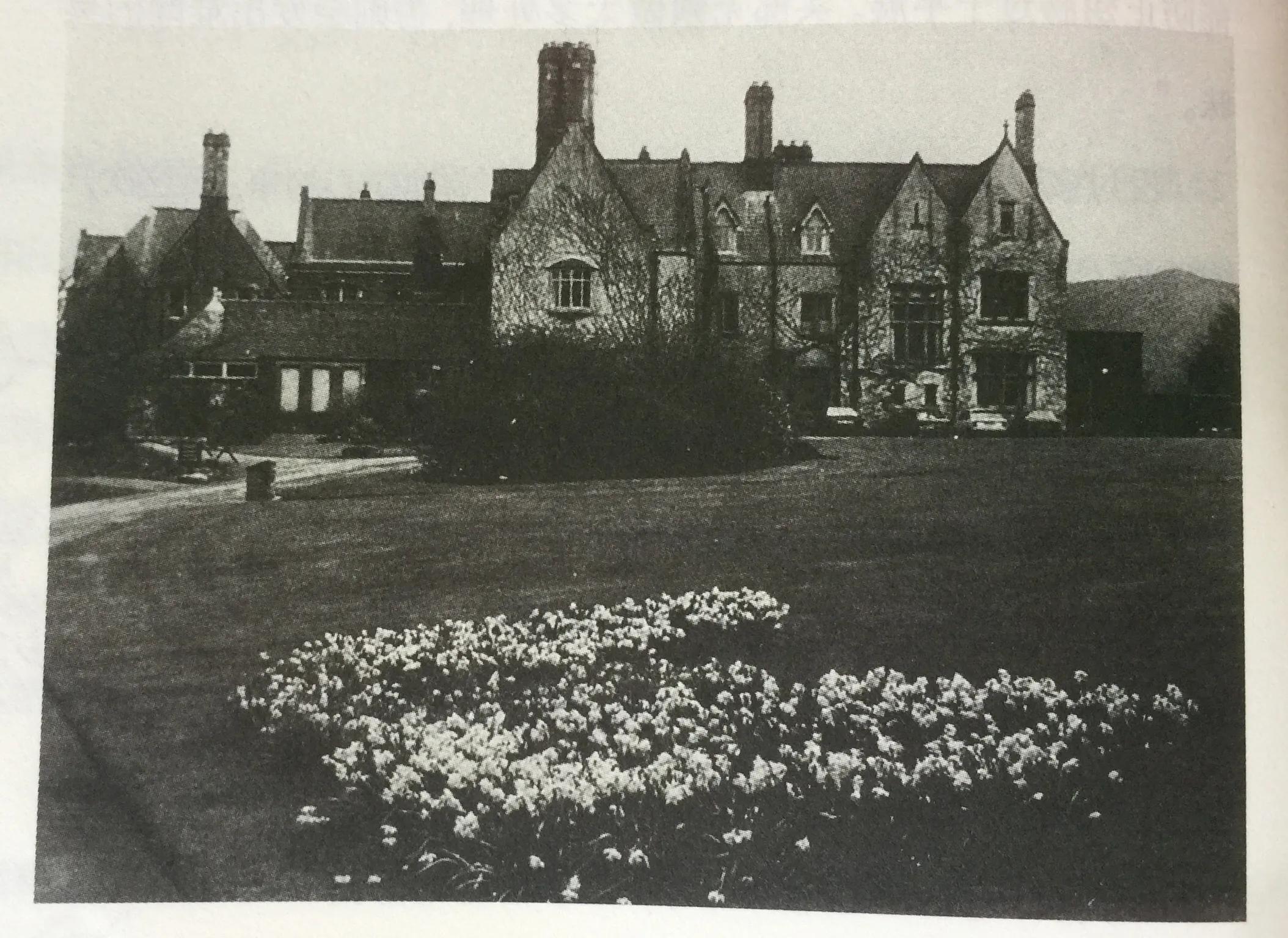 《永远的波特——彼得兔的妈妈》：揭晓彼得兔经久不衰的魅力所在