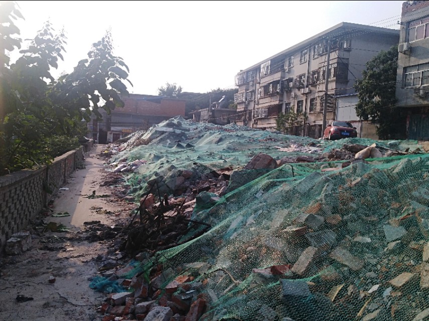 王玉：南阳益博社工的初秋一日行纪