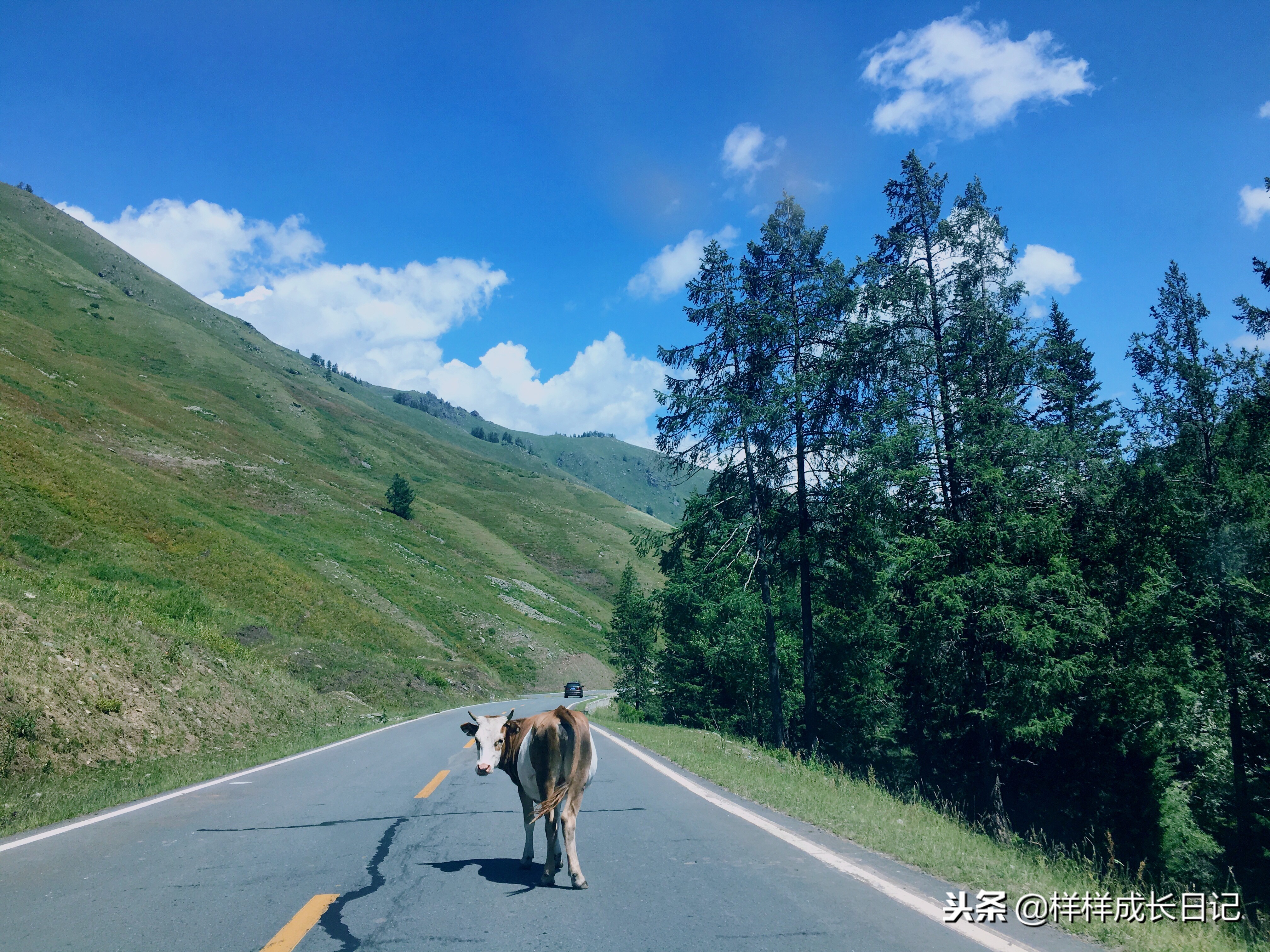 自驾都要带啥,新手自驾新疆要注意什么