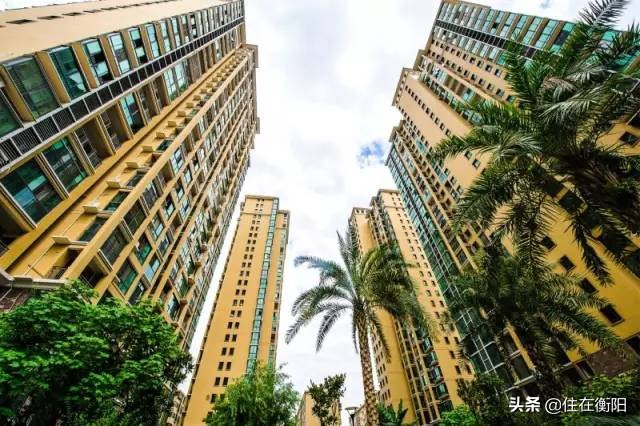 有多少人看房最后不买了,为什么很多人看房很久却没买