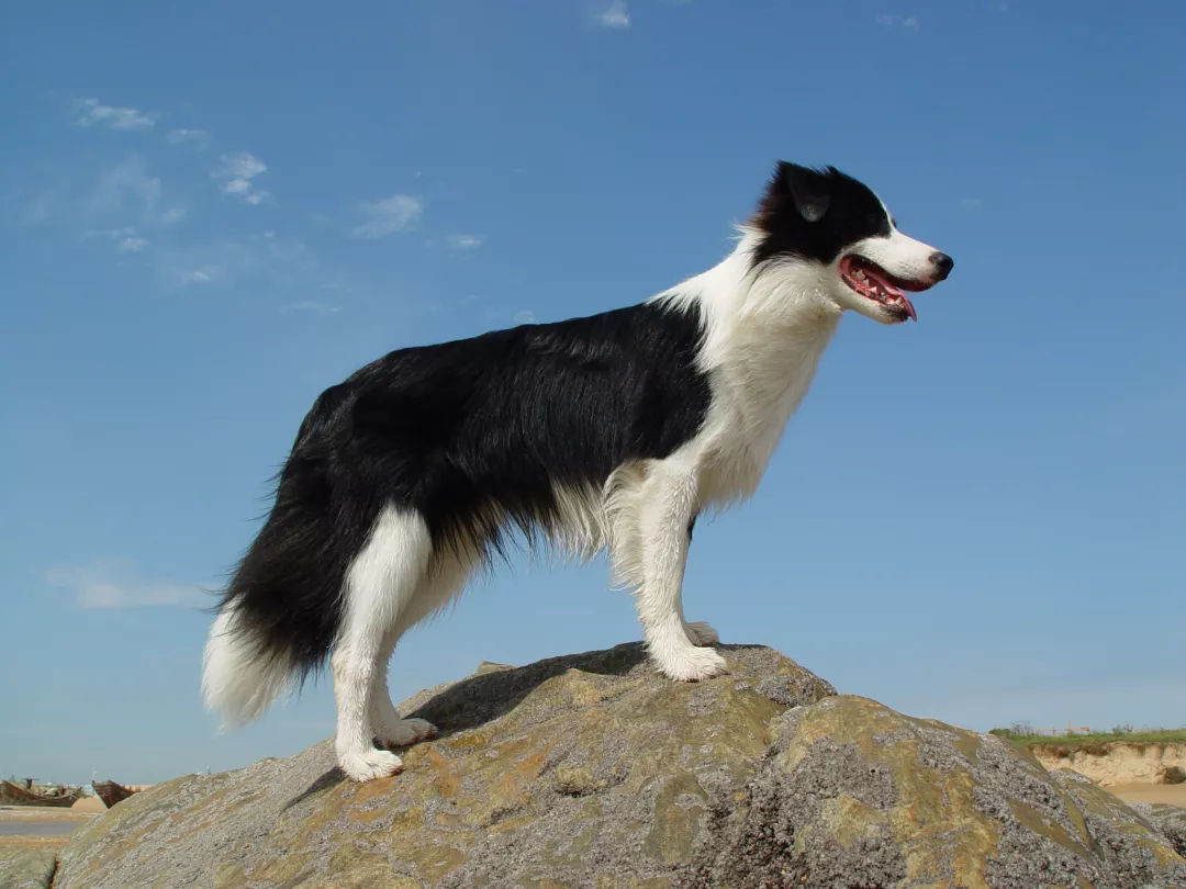 【话题讨论】这类事你们怎么看？