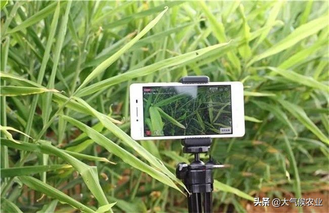 直播卖农产品赚钱吗,农产品直播带货有可行性吗