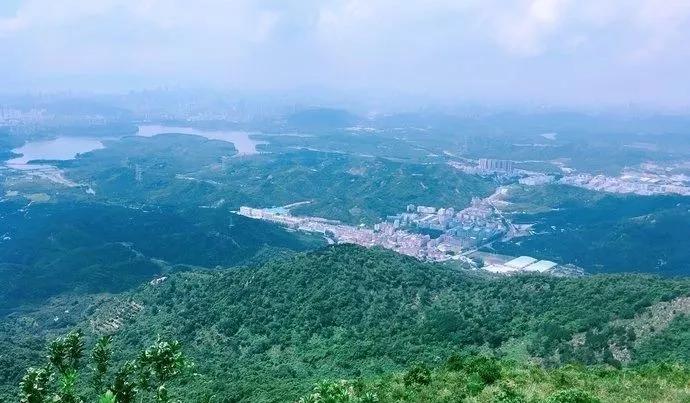 深圳最美最有人气的公园在哪里,深圳最好的十个景区