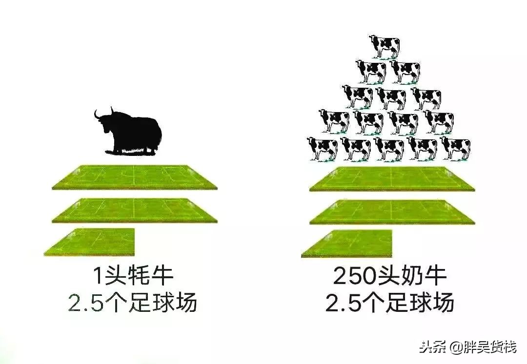 营养成分比较高的牛奶,比较接近母乳的牛奶